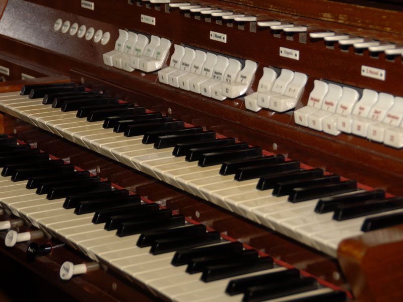 Orgel