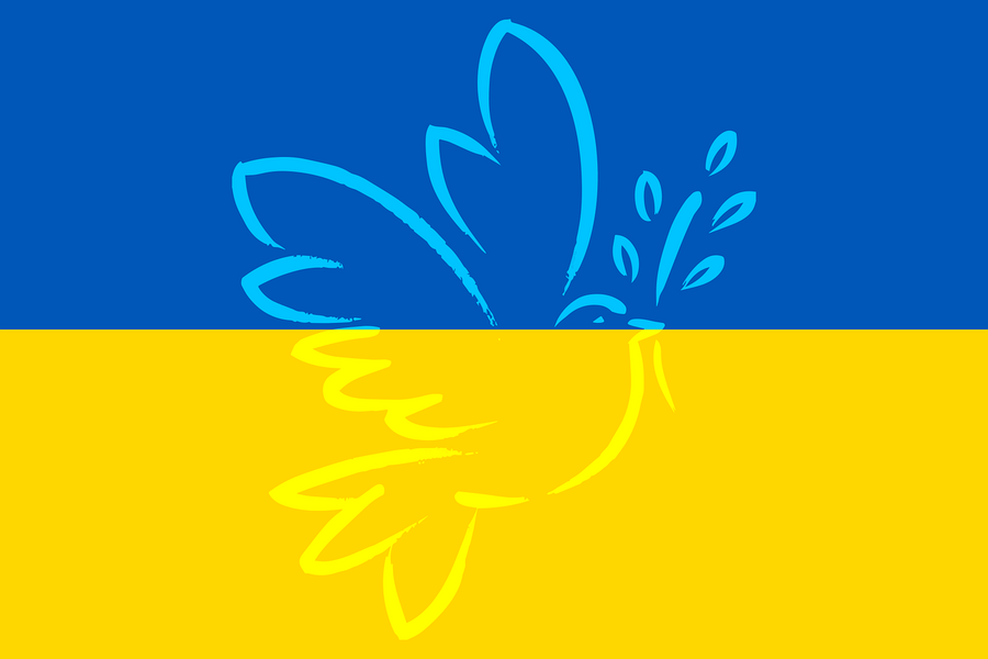 Flagge Ukraine mit Friedenstaube | pixabay-license 